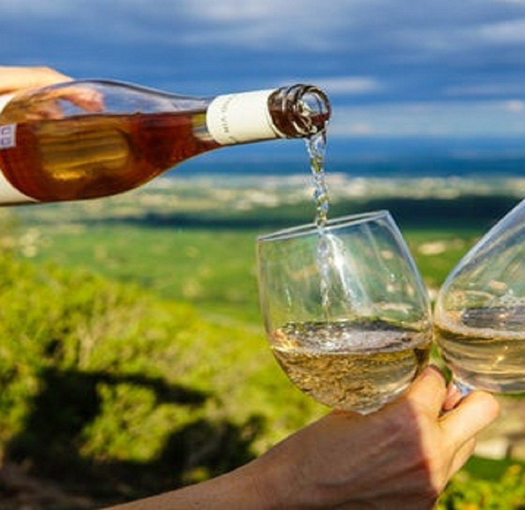 wine